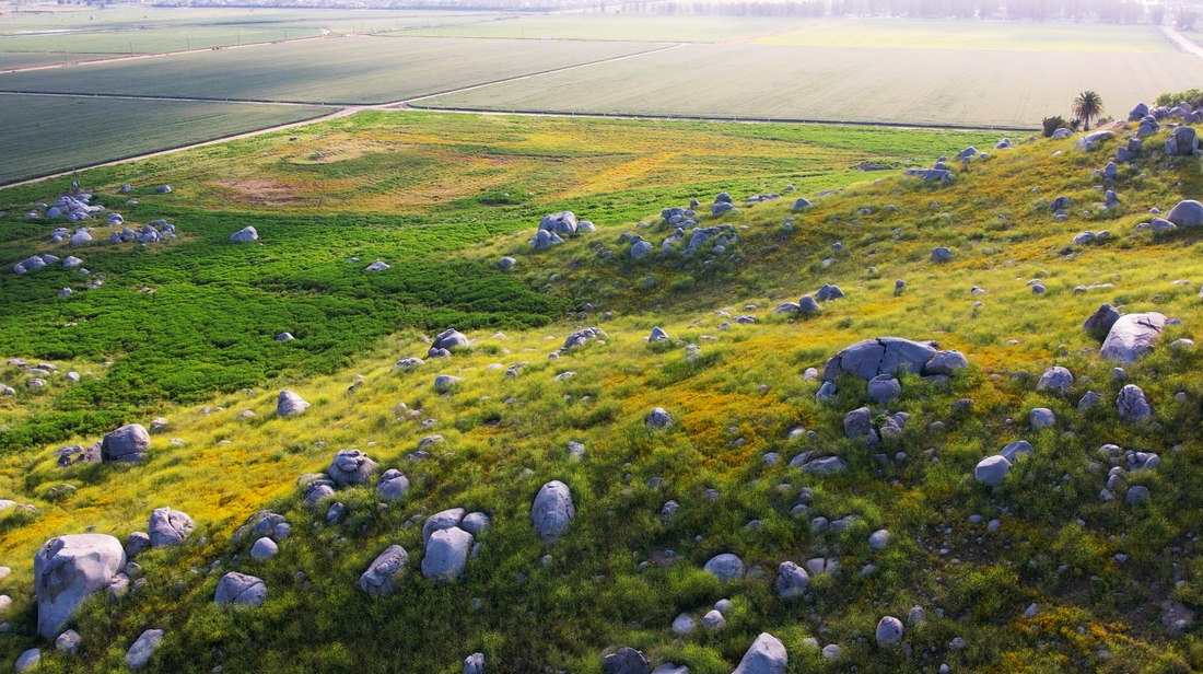 Aerial view across a green agricultural field